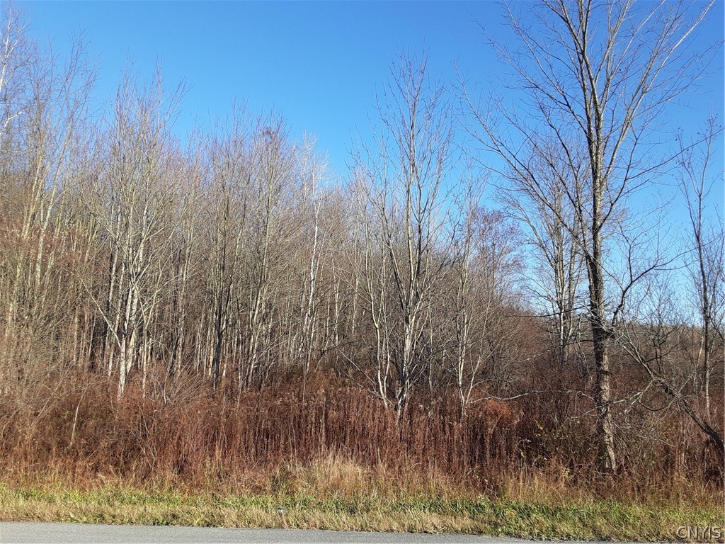 0 Point Rock Road Taberg, NY 13471 - Photo 4 of 5