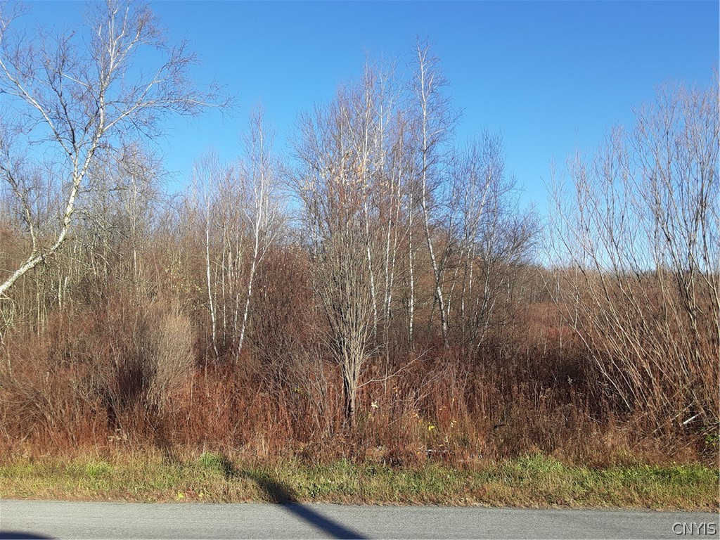 0 Point Rock Road Taberg, NY 13471 - Photo 5 of 5