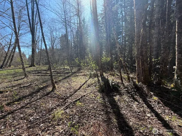 $150,000 | 181 Nisqually Way, Ashford, WA 98304