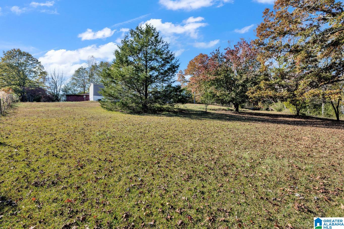 115 Mockingbird Lane Hayden, AL 35079 - Photo 34 of 35
