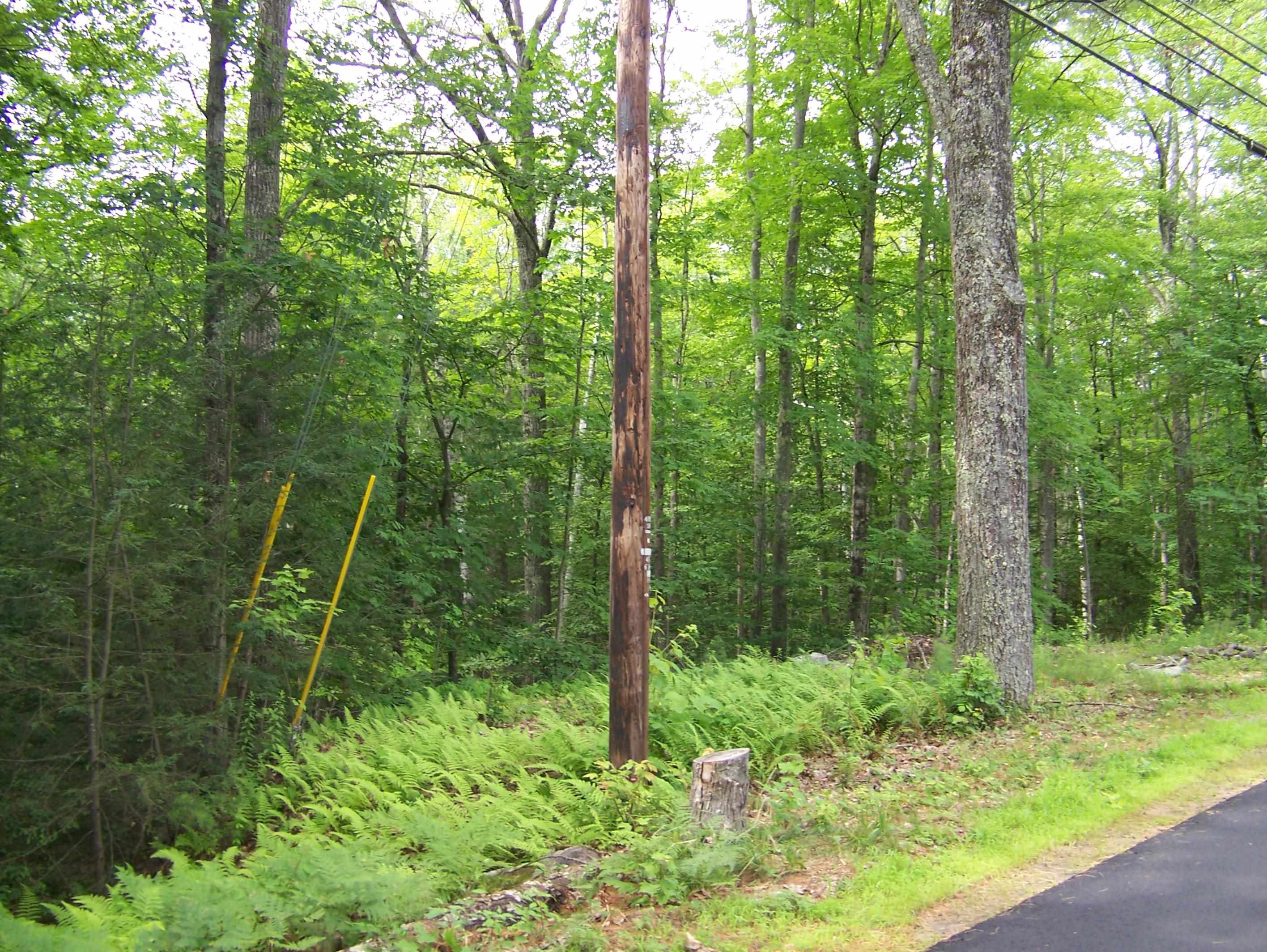 Ledge Hill Road Center Tuftonboro, NH 03816 - Photo 1 of 7 Gallery Image 1