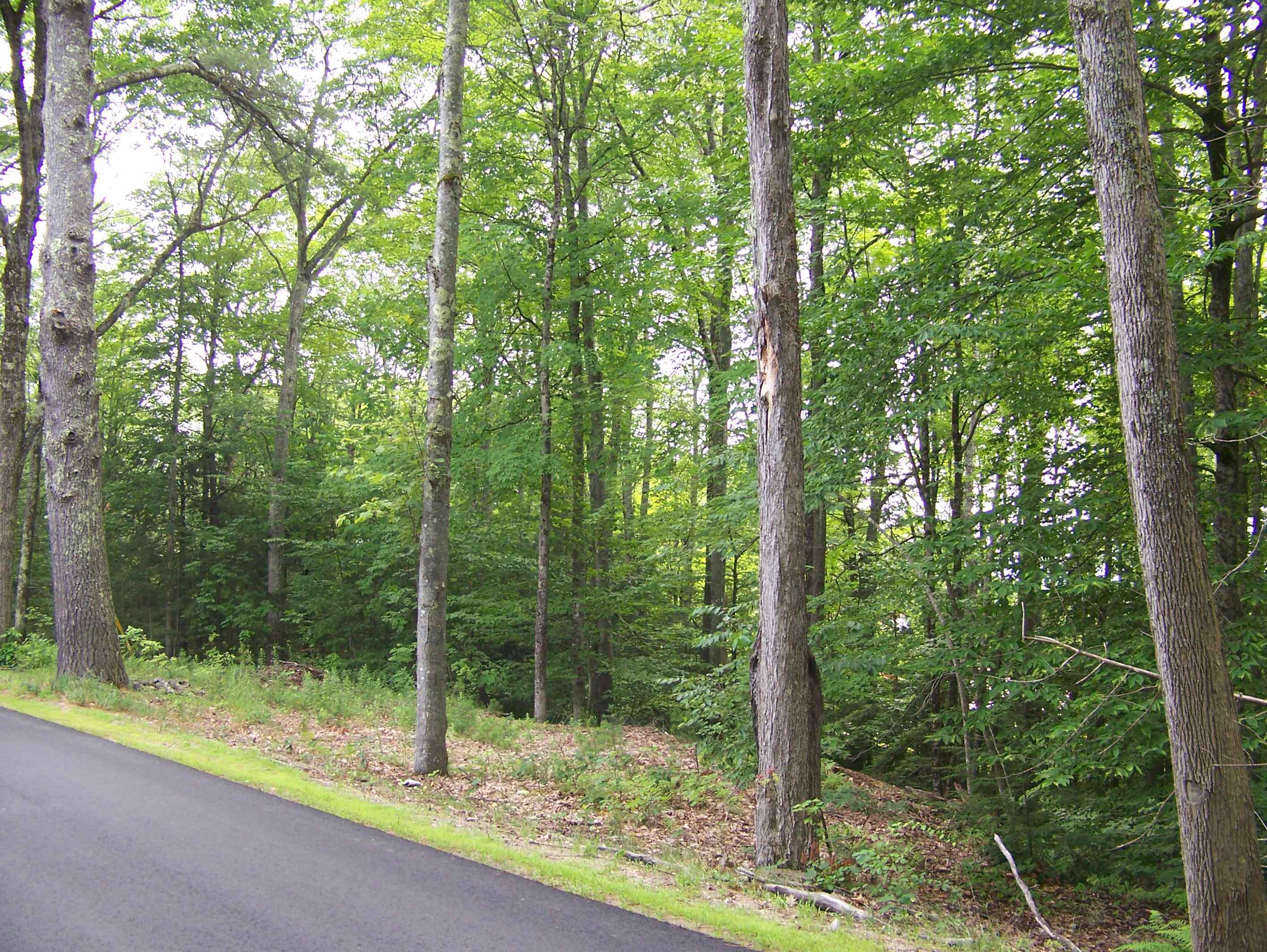 Ledge Hill Road Center Tuftonboro, NH 03816 - Photo 3 of 7 Gallery Image 3