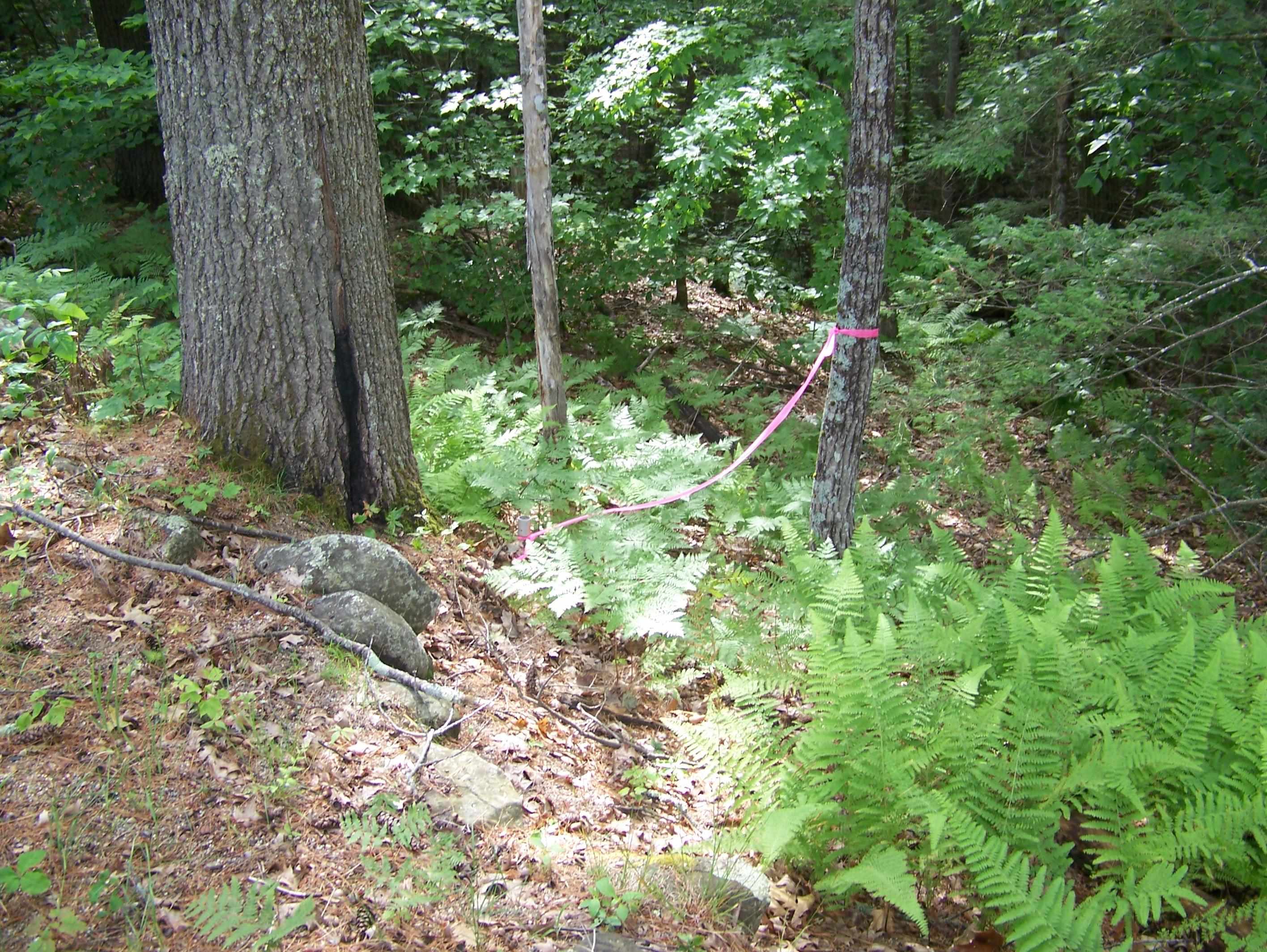 Ledge Hill Road Center Tuftonboro, NH 03816 - Photo 6 of 7 Gallery Image 6