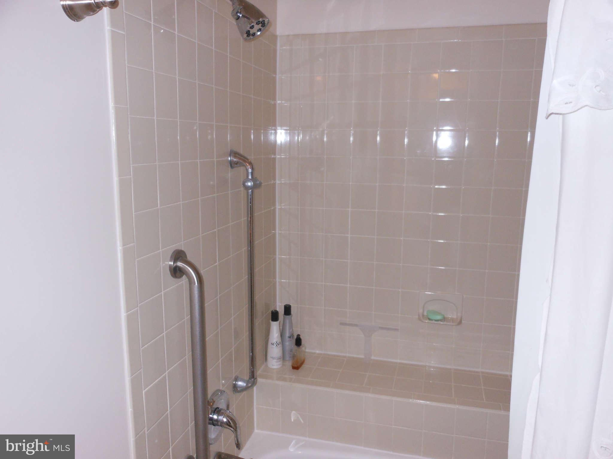 5420 Rilian Court Burke, VA 22015 - Photo 13 of 21 Bath (Master)