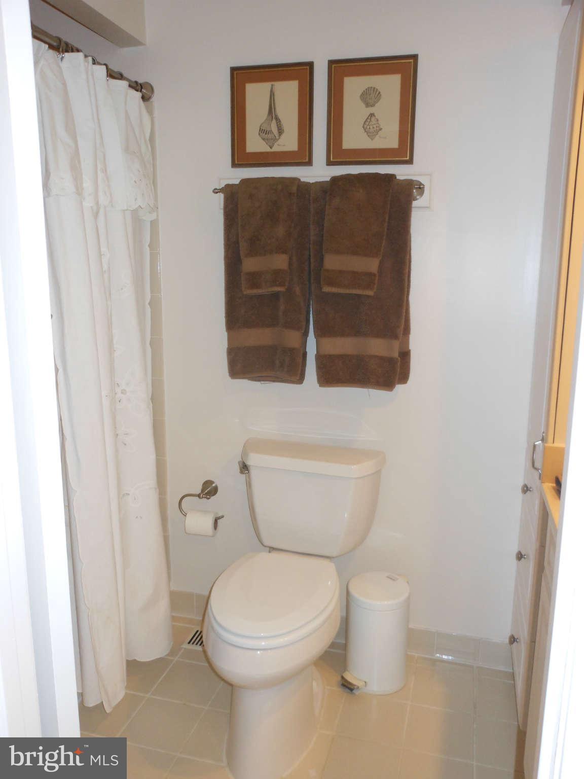 5420 Rilian Court Burke, VA 22015 - Photo 14 of 21 Bath (Master)