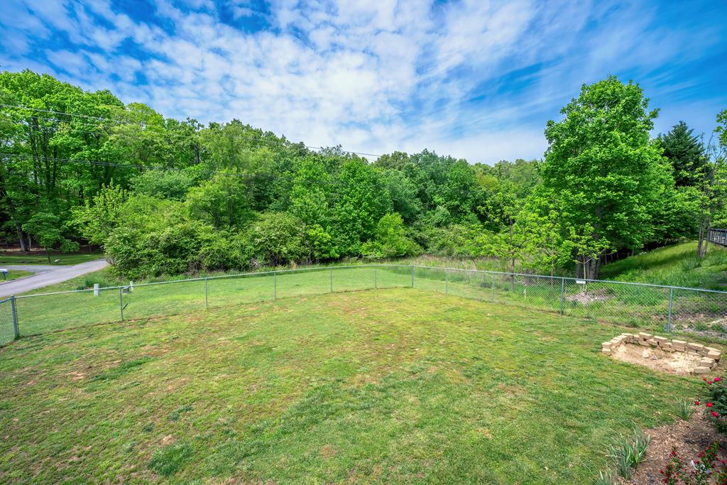 18 Shady Grove Lane Blue Ridge, GA 30513 - Photo 21 of 75