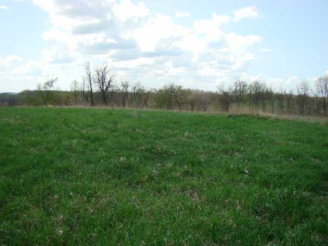 0 Township Road 29 Road Warsaw, OH 43844 - Photo 3 of 6