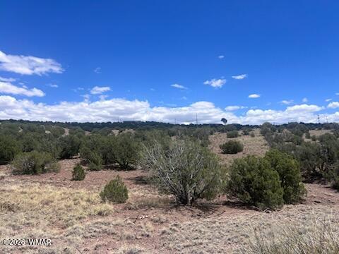 41 Indian Drive Concho, AZ 85924 - Photo 25 of 26 IMG_3691
