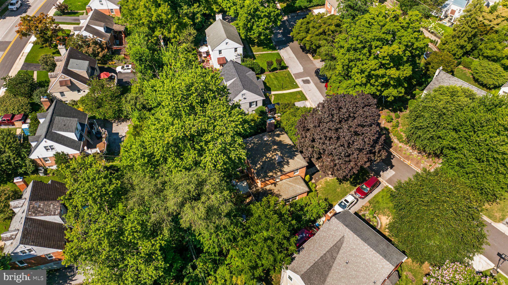 307 Worthington Road Towson, MD 21286 - Photo 64 of 72 Lush neighborhood with vibrant greenery.