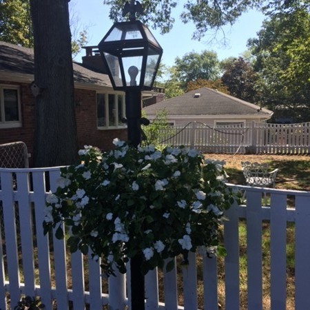 11 Ridge Lane Lynn, MA 01904 - Photo 18 of 20