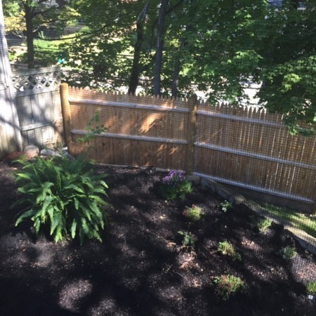 11 Ridge Lane Lynn, MA 01904 - Photo 19 of 20