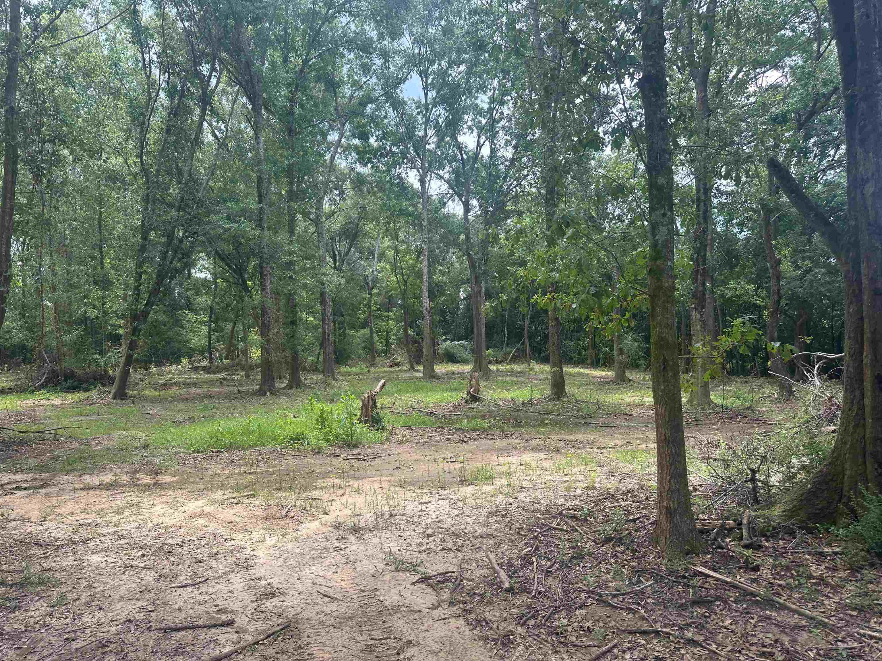 23040 Forland Road Silverhill, AL 36576 - Photo 13 of 13 View