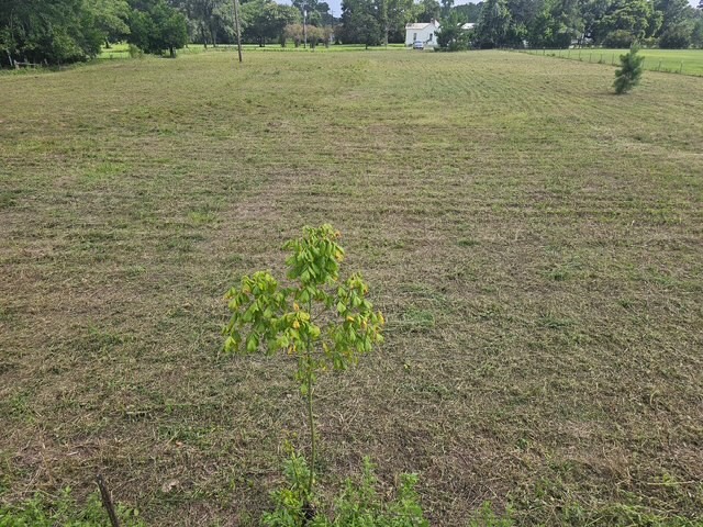 0 Kimberly Trace Conroe, TX 77304 - Photo 3 of 7 1.5 ACRES TO BUILD YOUR CUSTOM DREAM HOME...