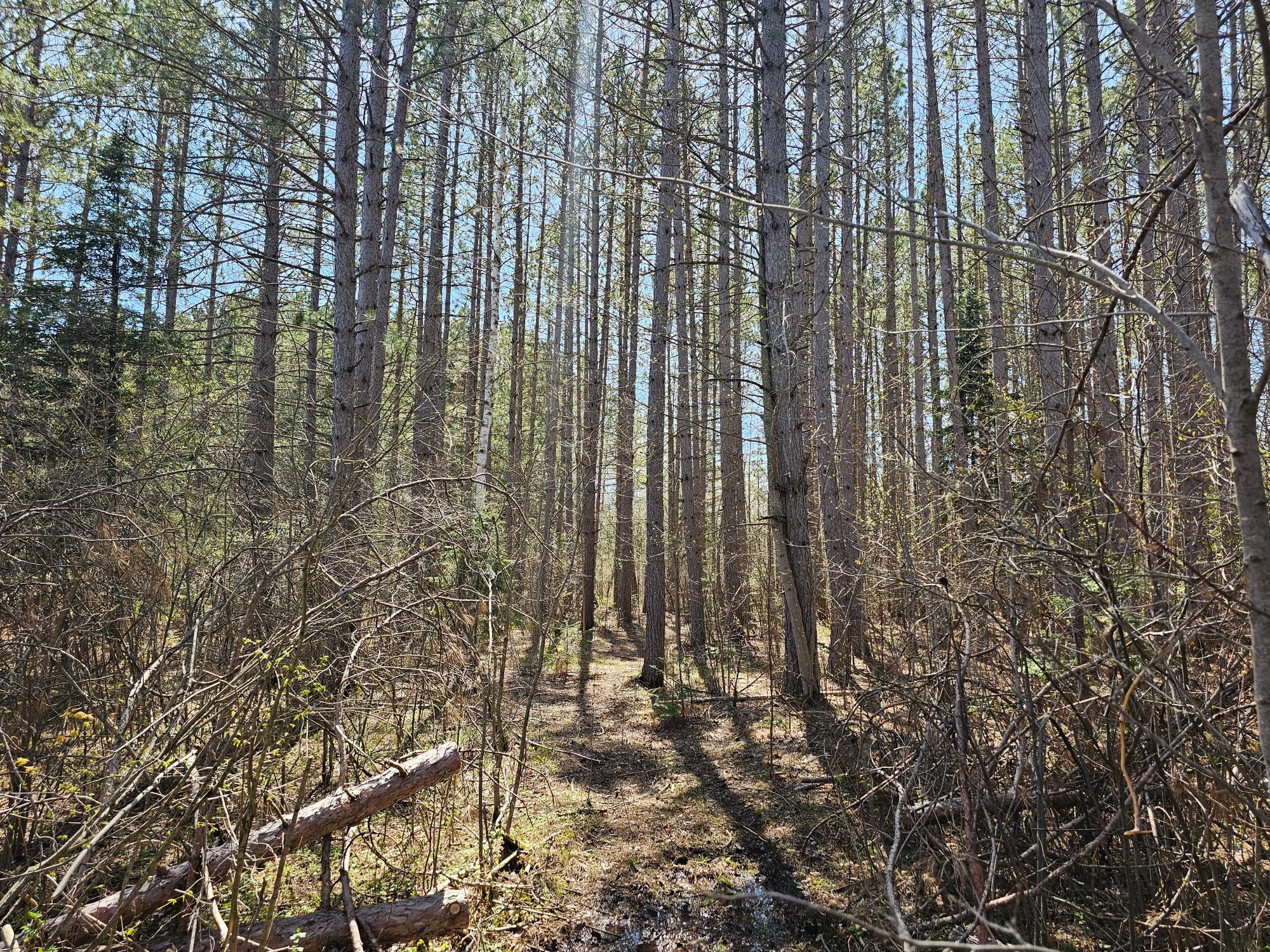 On Forks Road Merrill, WI 54452 - Photo 22 of 34 Gallery Image 22