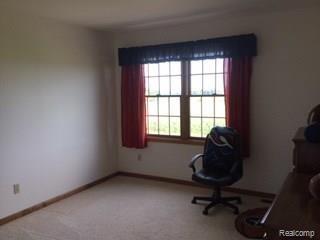 5345 East Burnside Road North Branch, MI 48461 - Photo 11 of 20 IMG_0860.JPG
