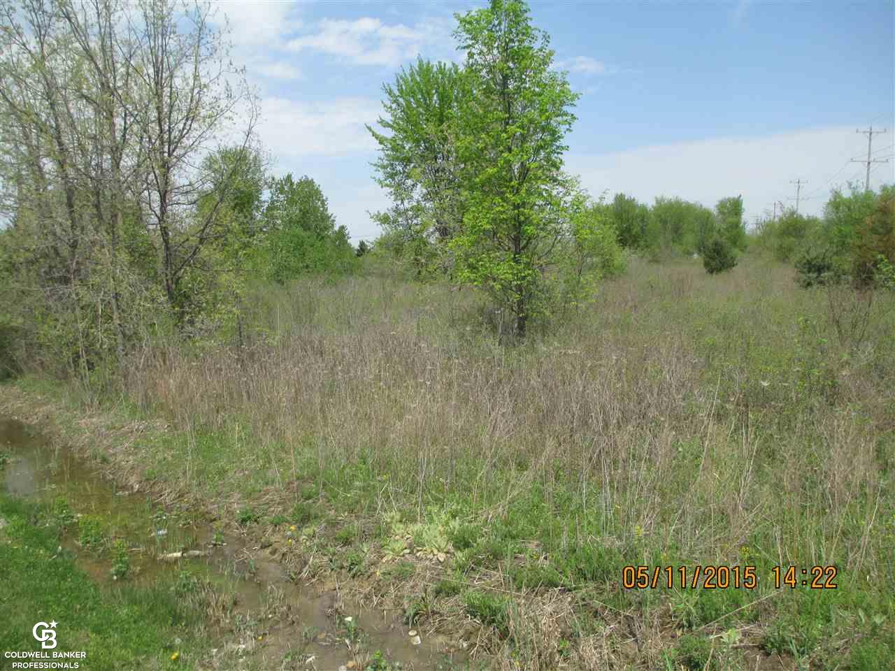 0 Hessen Road Columbus, MI 48063 - Photo 3 of 4