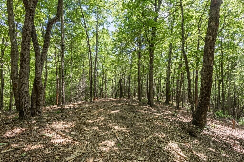 43 Donley Road Murphy, NC 28906 - Photo 4 of 14 Gallery Image 4