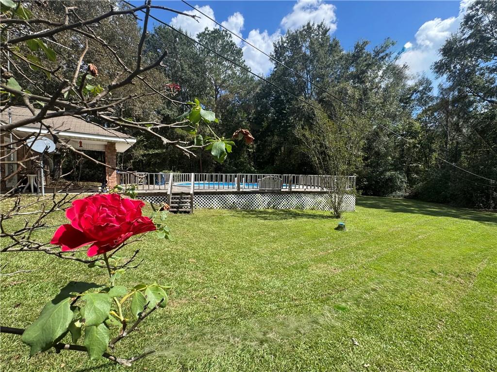 235 Prospect Road Dry Prong, LA 71423 - Photo 32 of 59