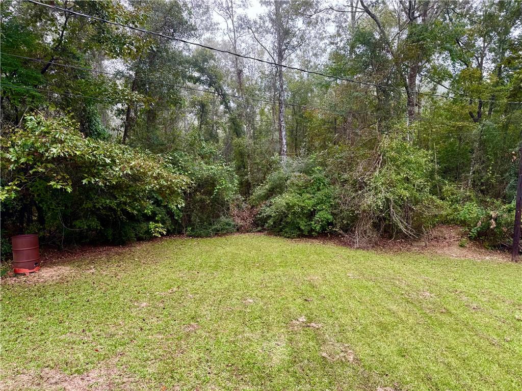 235 Prospect Road Dry Prong, LA 71423 - Photo 49 of 59