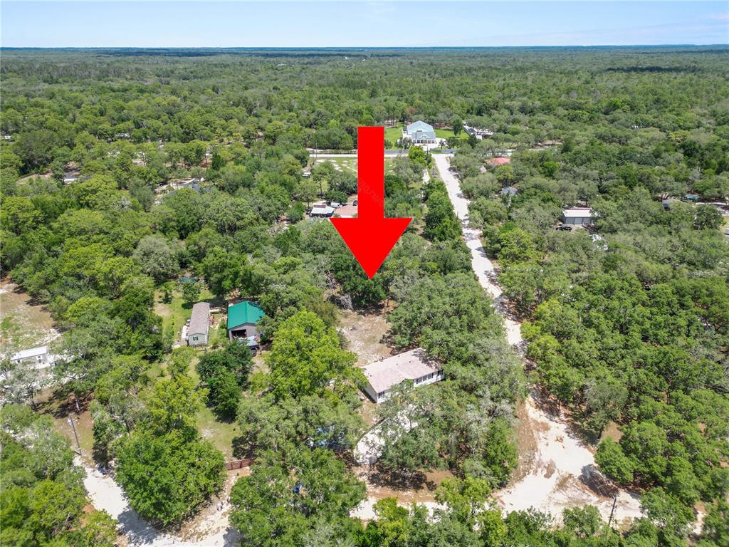 13043 Gennaro Road Hudson, FL 34669 - Photo 47 of 55