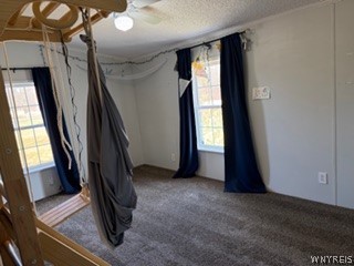 3622 Checkered Tavern Road Hartland, NY 14094 - Photo 16 of 18