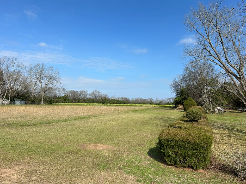 17.99-ac 17.99-ac Wicksburd Road Newton, AL 36352 - Photo 8 of 22