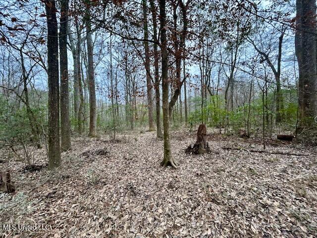 3197 Leatherwood Road, Unit D Tylertown, MS 39667 - Photo 22 of 26 IMG_2675 (2)