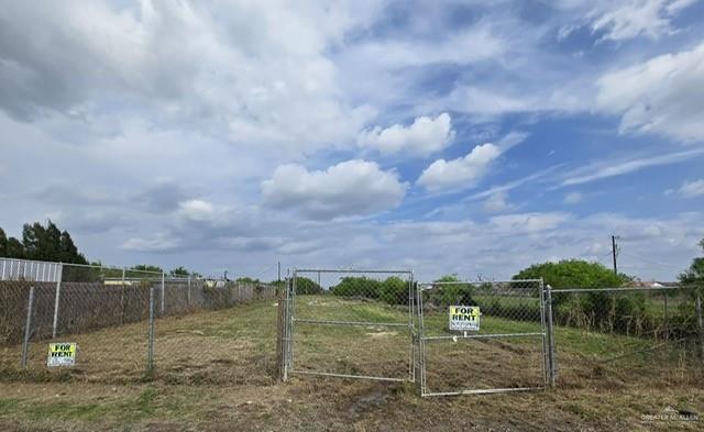 9300 North Val Verde Road Donna, TX 78537 - Photo 4 of 6 a view of a garden