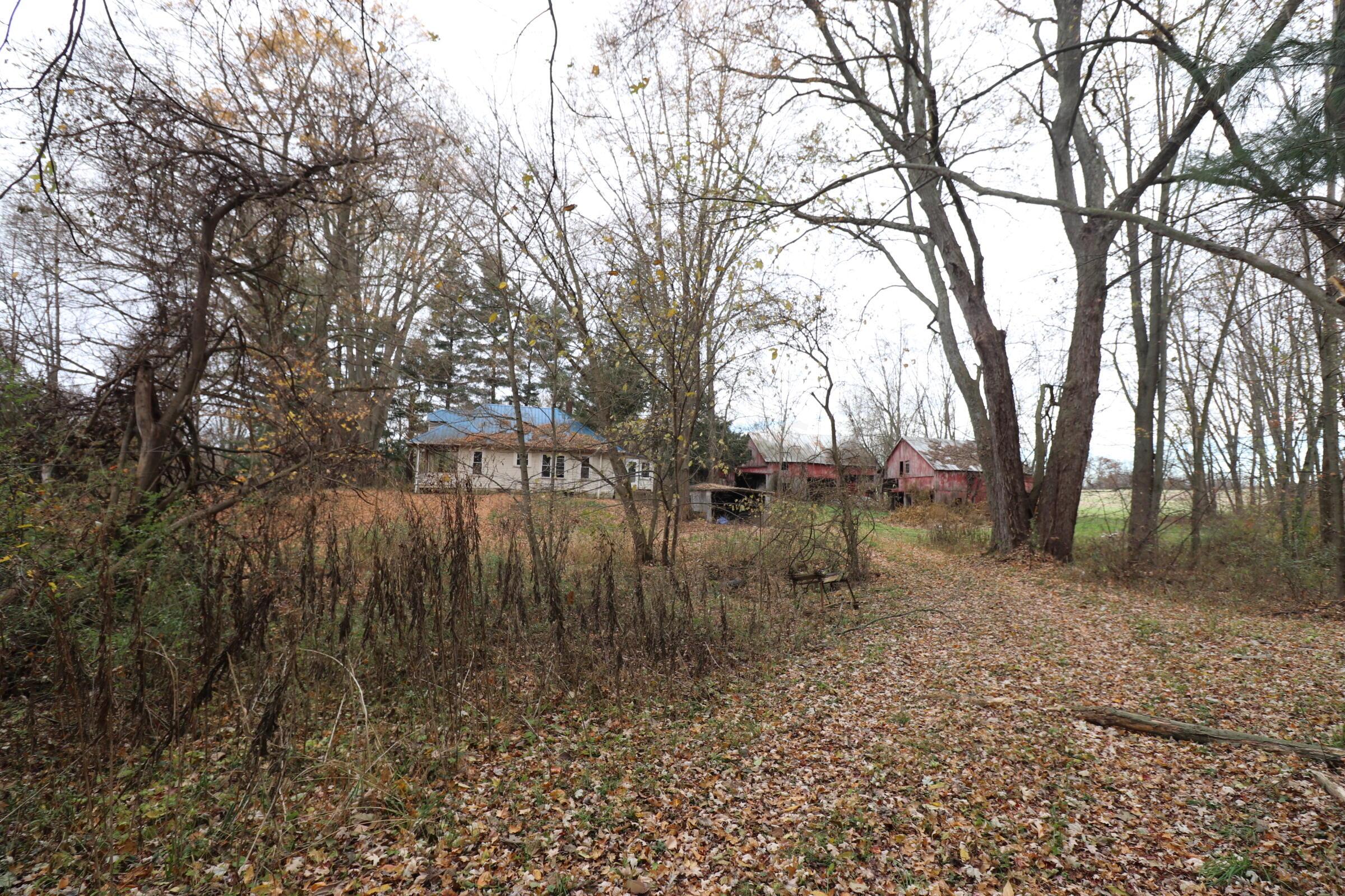 6551 Lock Road Centerburg, OH 43011 - Photo 3 of 20 IMG_1559