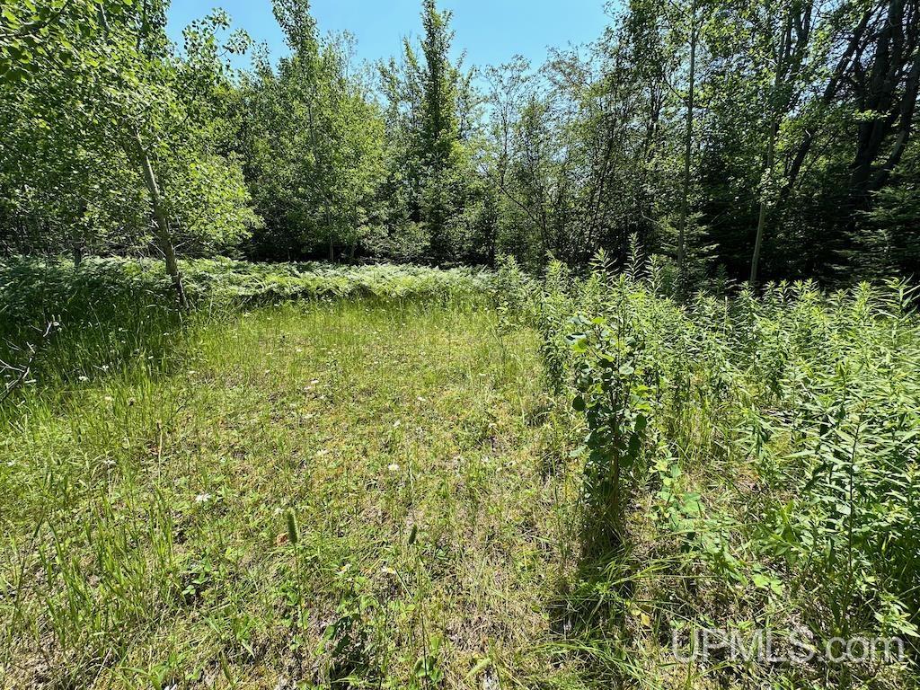 Parcel A Webb Road Grand Marais, MI 49839 - Photo 28 of 29