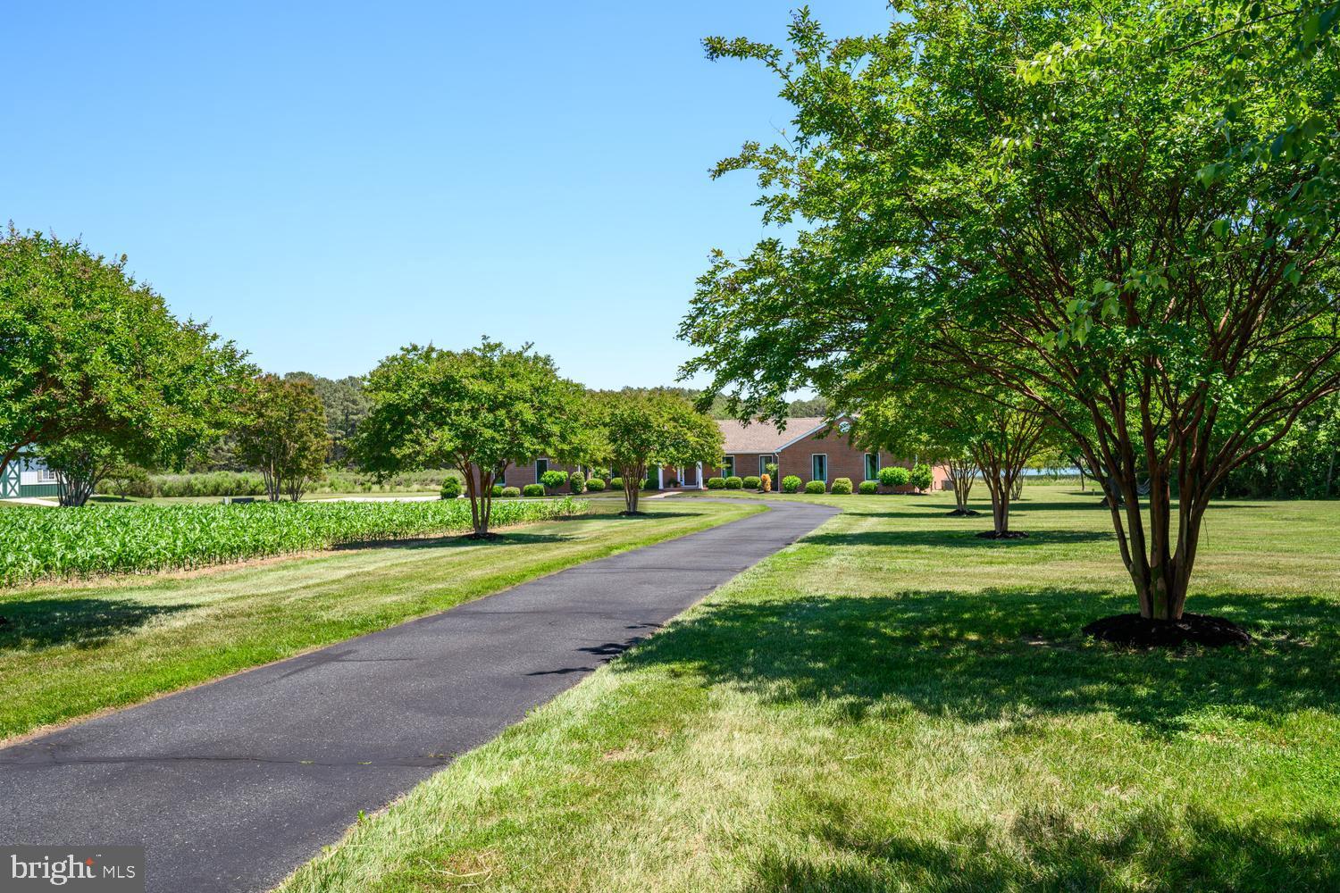 7543 Bozman Neavitt Road Bozman, MD 21612 - Photo 17 of 121