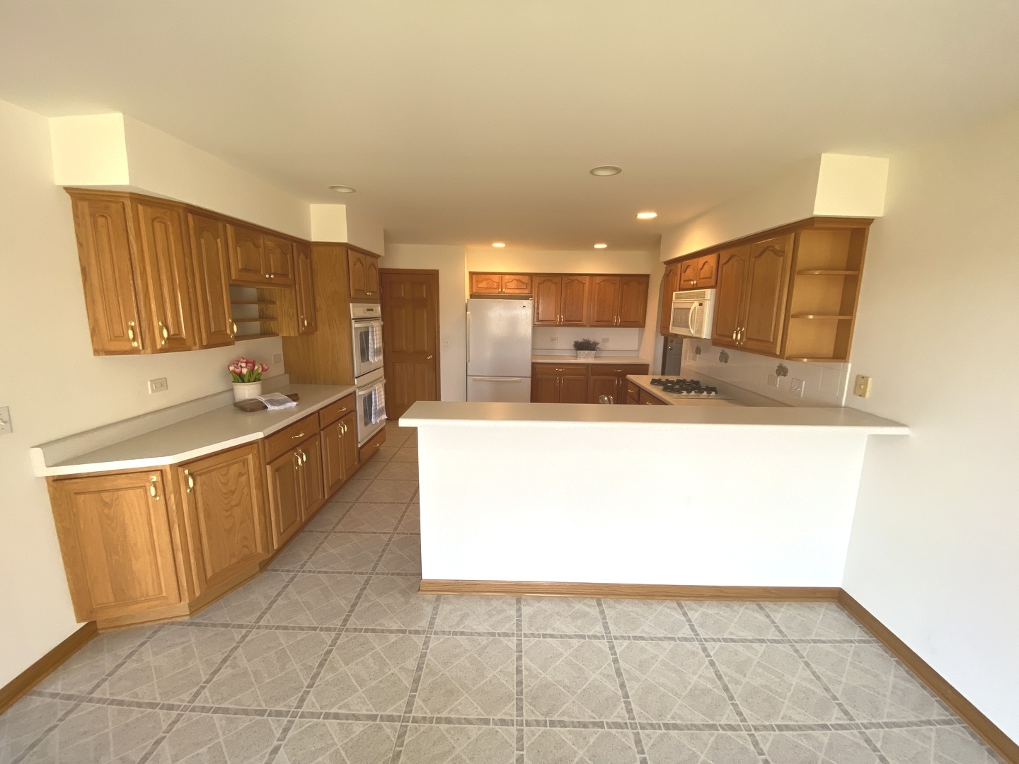 37W042 Hopps Road Elgin, IL 60124 - Photo 6 of 23
