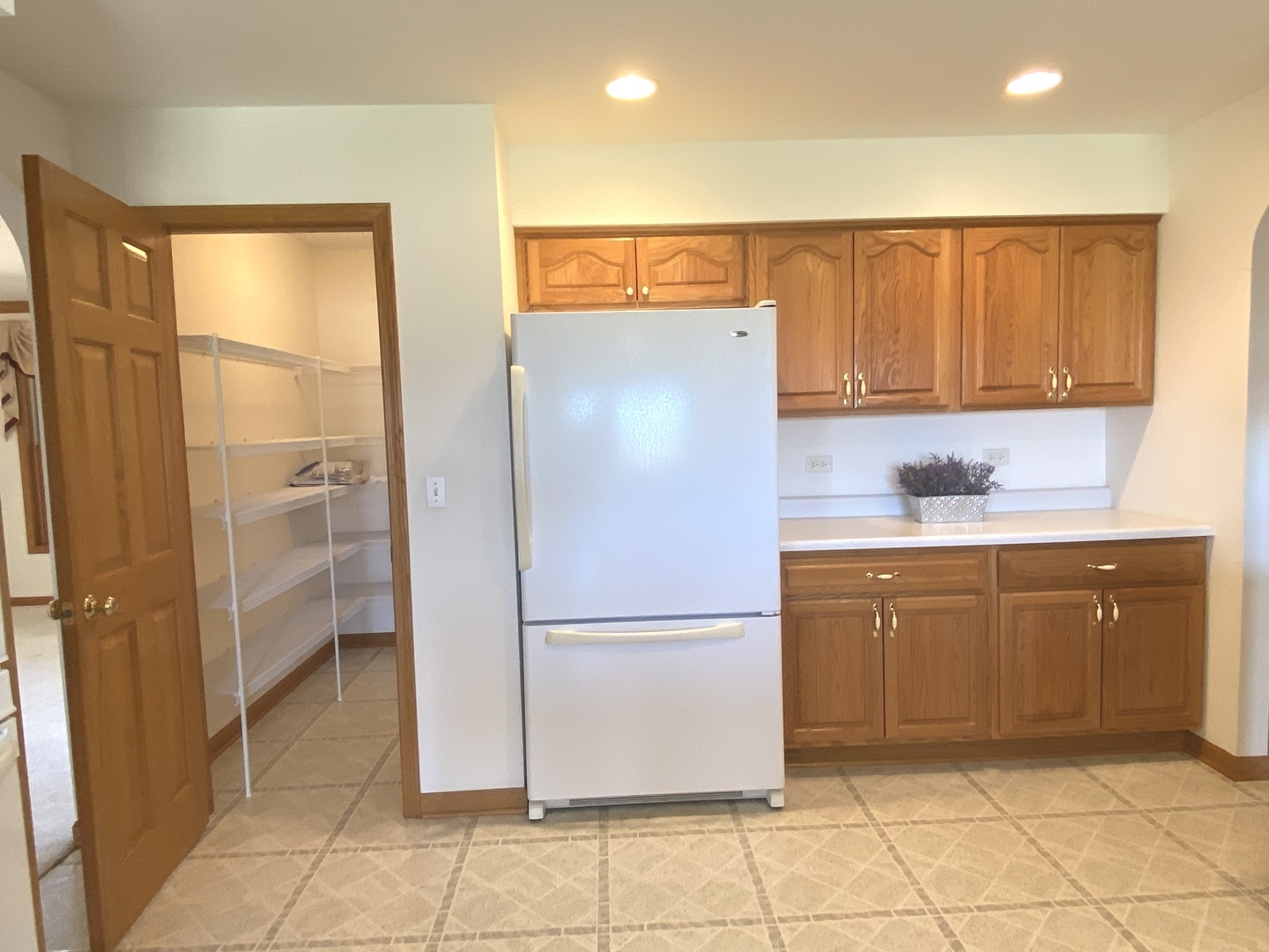 37W042 Hopps Road Elgin, IL 60124 - Photo 7 of 23