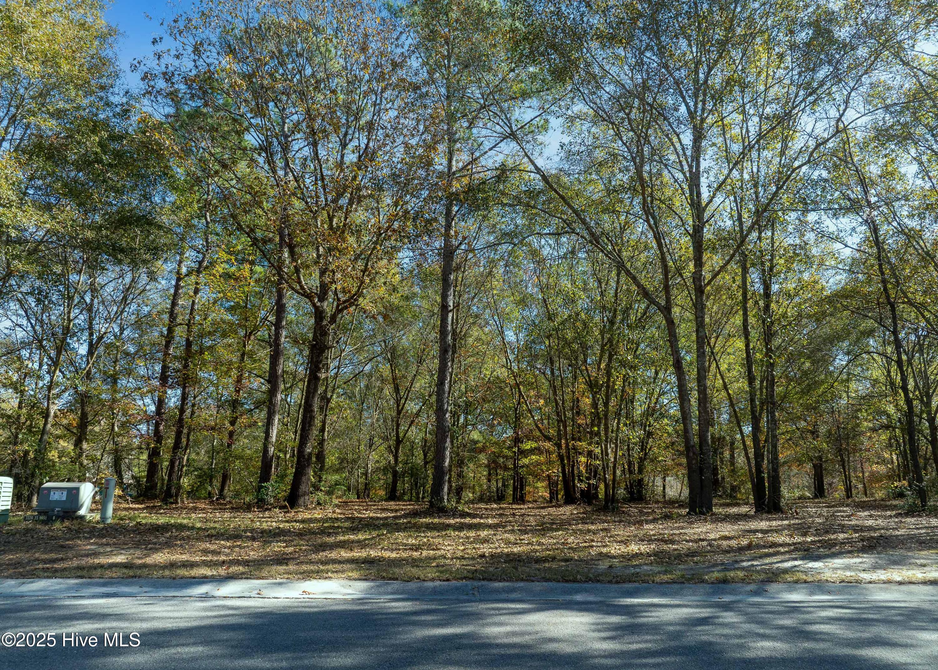 167 River Ridge Drive Wallace, NC 28466 - Photo 4 of 19 167 River Landing Drive MLS-1