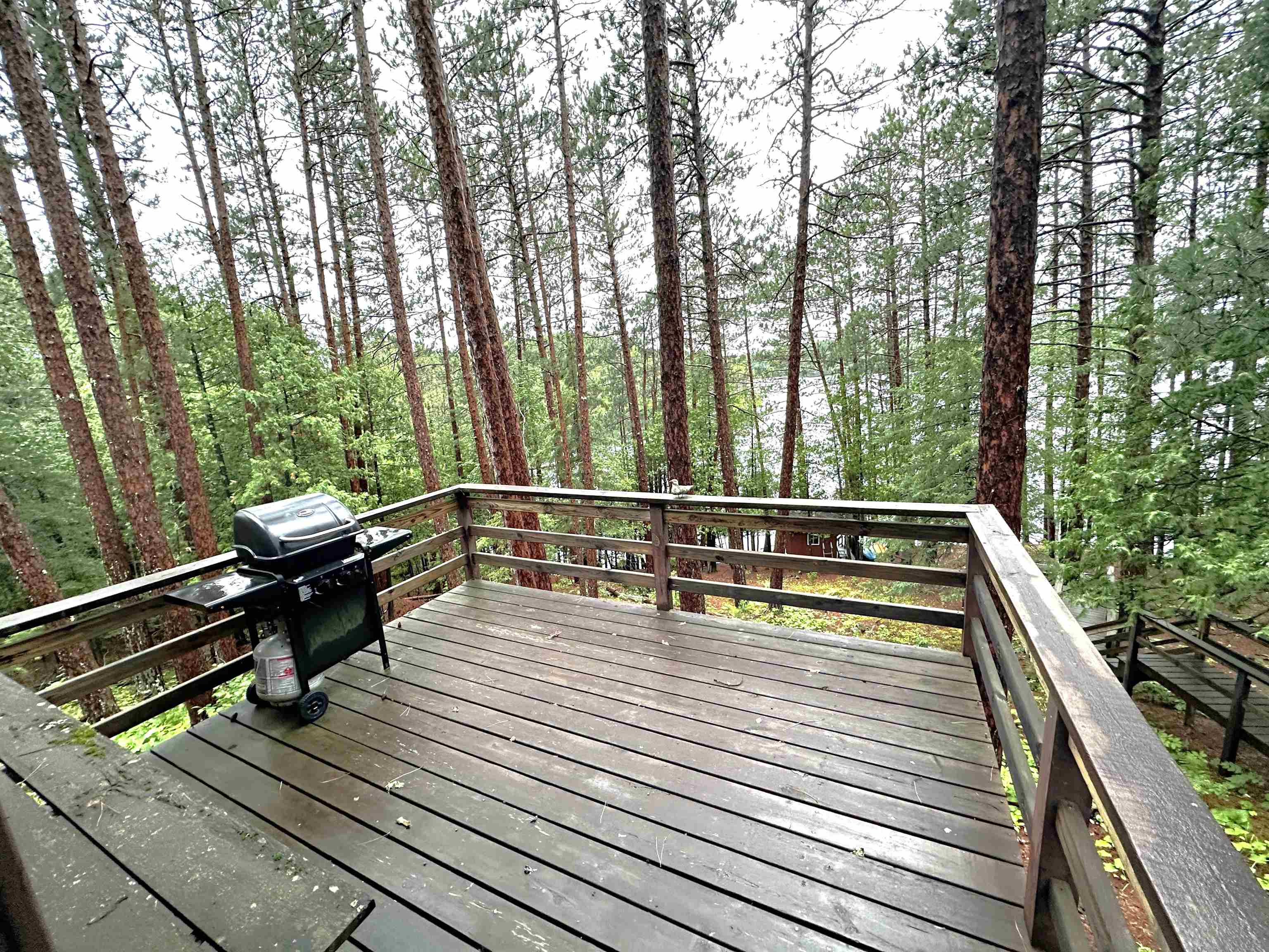 1995 Pine Tree Trail Ely, MN 55731 - Photo 16 of 31