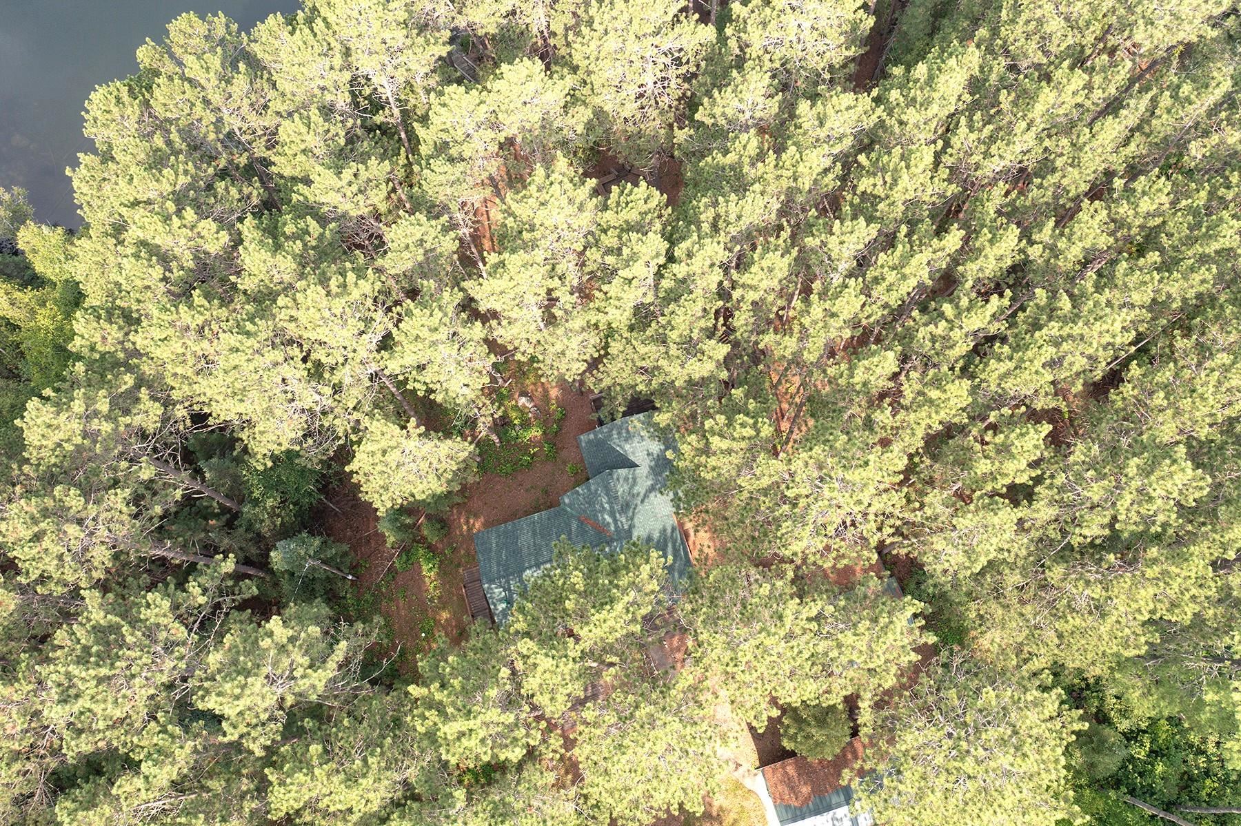 1995 Pine Tree Trail Ely, MN 55731 - Photo 31 of 31