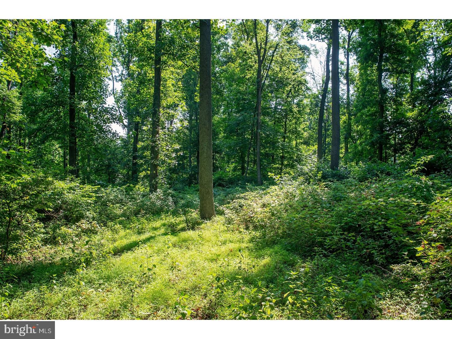 19 Weil Road Bechtelsville, PA 19505 - Photo 22 of 23 View