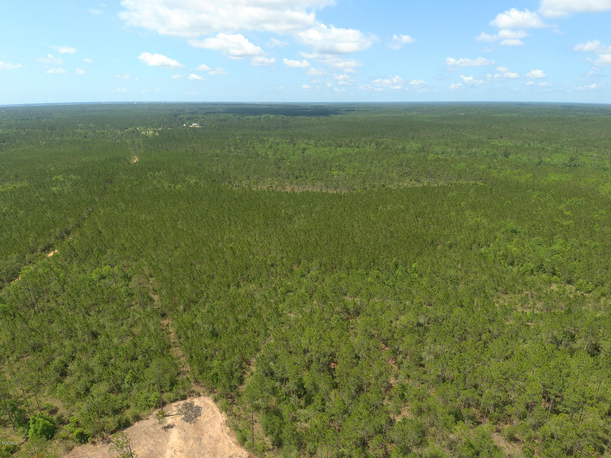 A A Mcleod Country Road Pass Christian, MS 39571 - Photo 1 of 4 Ashman_Runnymede-Standard-Res-5