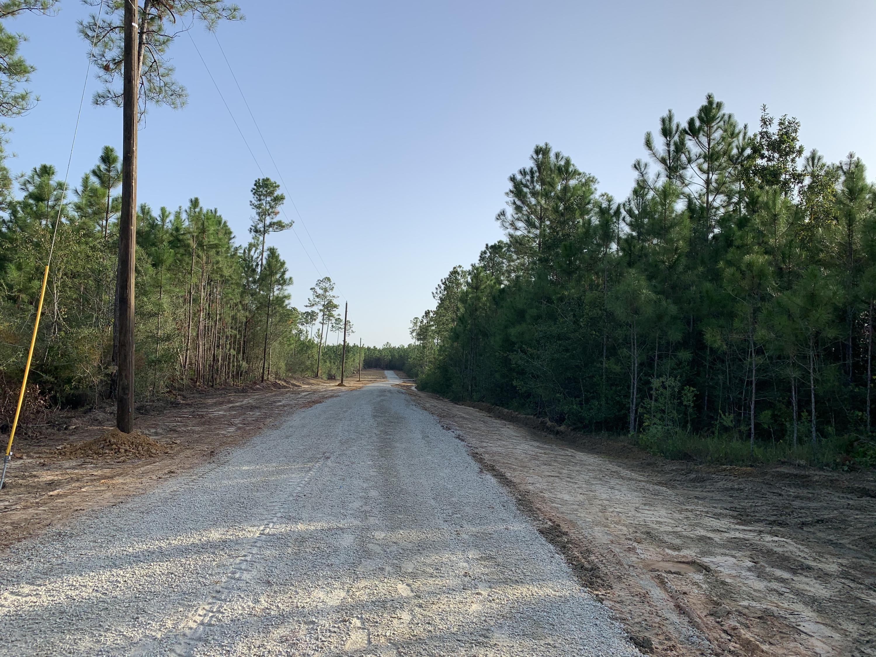 A A Mcleod Country Road Pass Christian, MS 39571 - Photo 4 of 4 IMG_1475