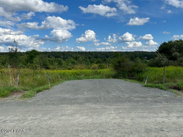 Lot R-c3 Spruce Lake Road Thompson, PA 18465 - Photo 17 of 17