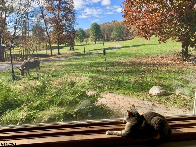 32 Millville Road Montague, NJ 07827 - Photo 22 of 50