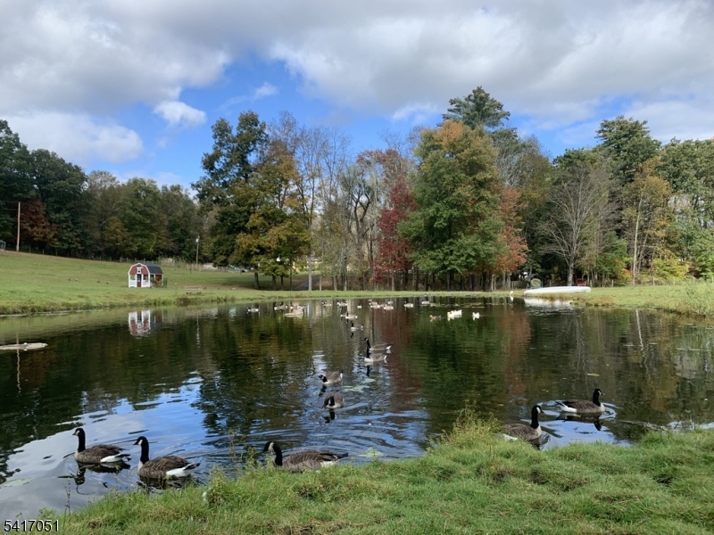 32 Millville Road Montague, NJ 07827 - Photo 4 of 50