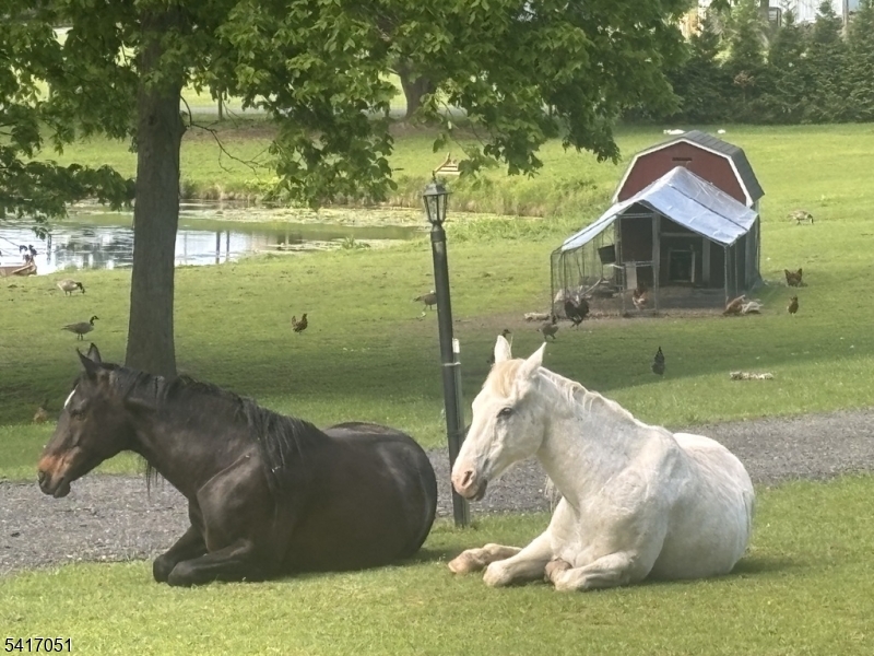 32 Millville Road Montague, NJ 07827 - Photo 5 of 50