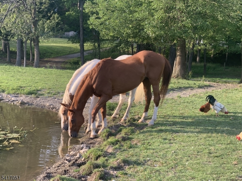 32 Millville Road Montague, NJ 07827 - Photo 6 of 50