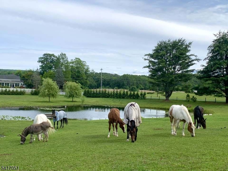 32 Millville Road Montague, NJ 07827 - Photo 7 of 50