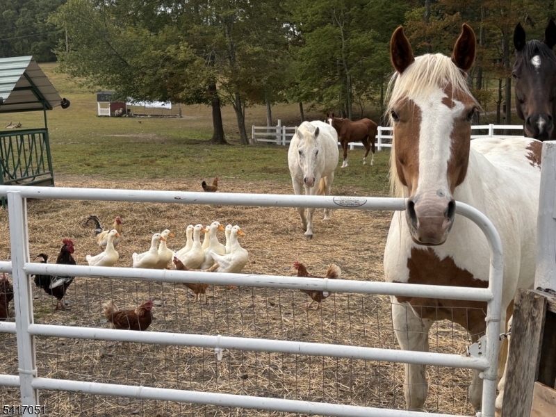32 Millville Road Montague, NJ 07827 - Photo 8 of 50