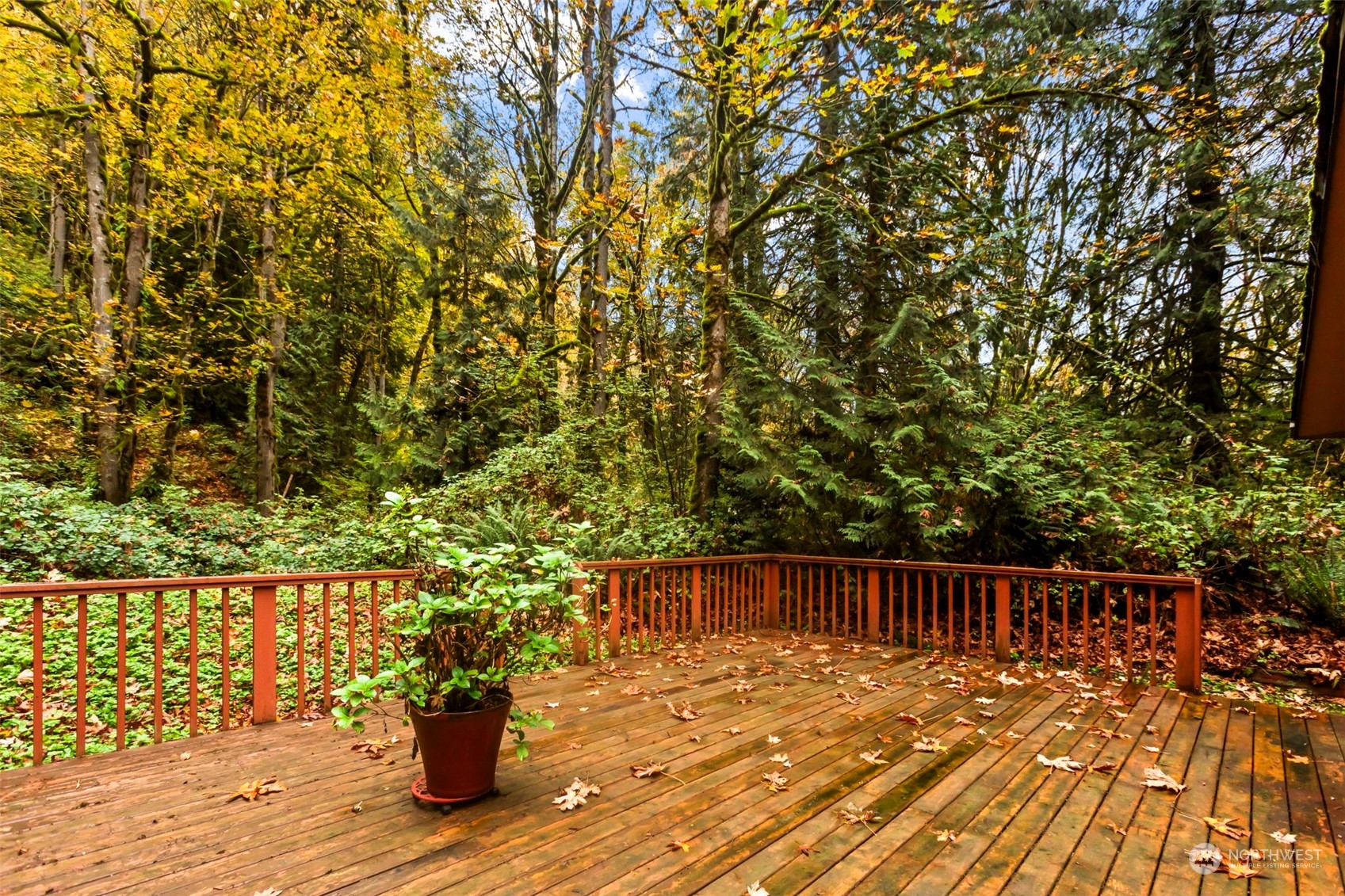 6829 Preston-Fall City Road Southeast Issaquah, WA 98027 - Photo 25 of 37 Gallery Image 25
