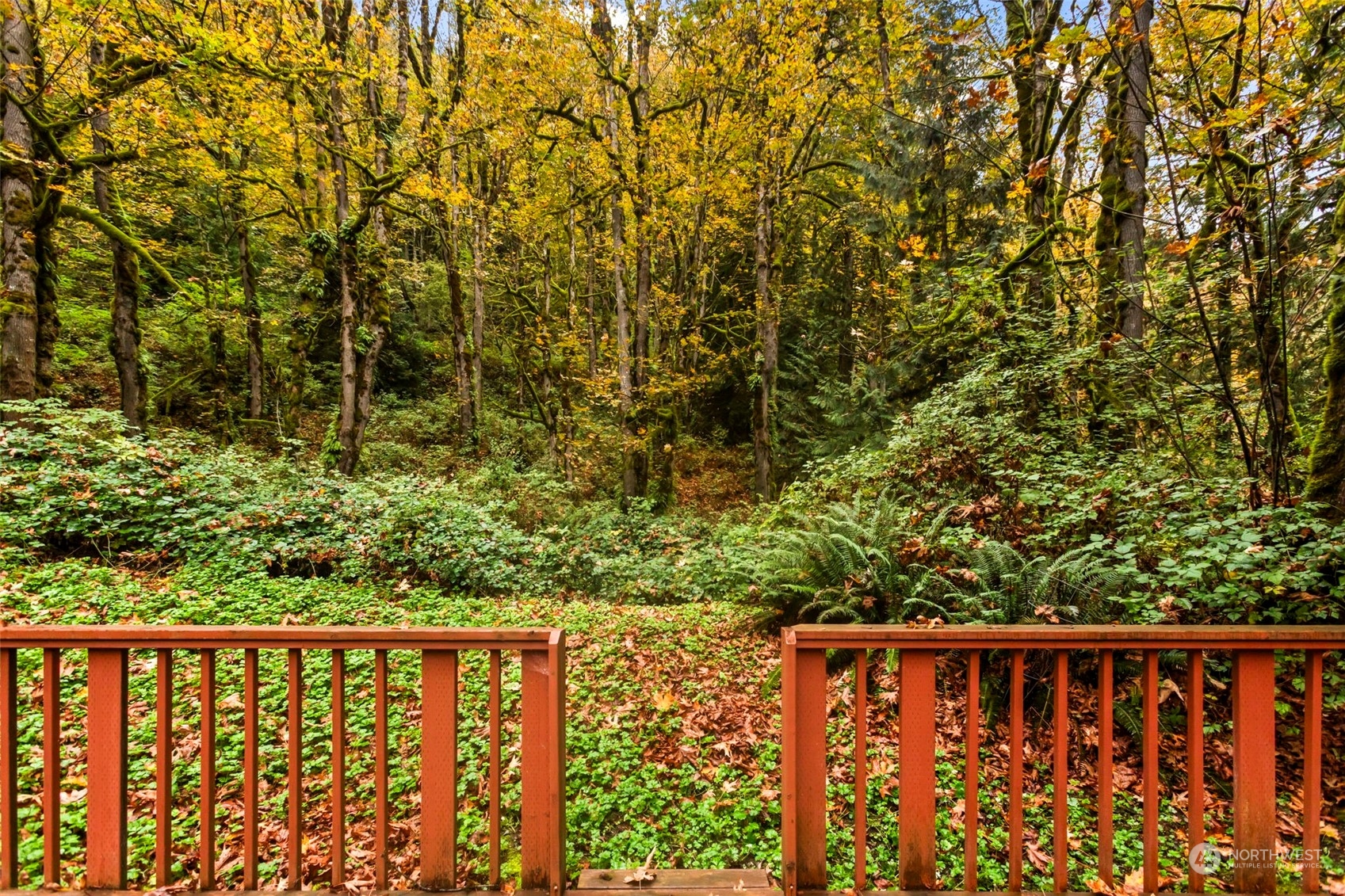 6829 Preston-Fall City Road Southeast Issaquah, WA 98027 - Photo 26 of 37 Gallery Image 26