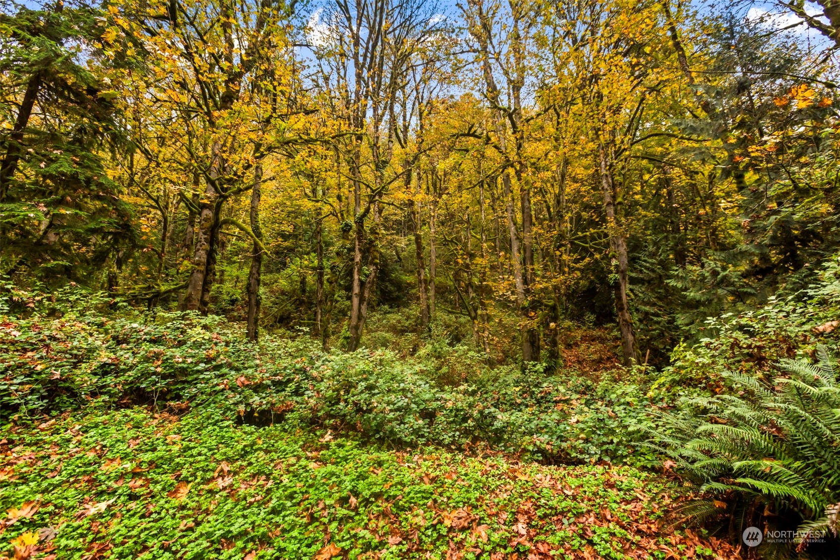 6829 Preston-Fall City Road Southeast Issaquah, WA 98027 - Photo 27 of 37 Gallery Image 27