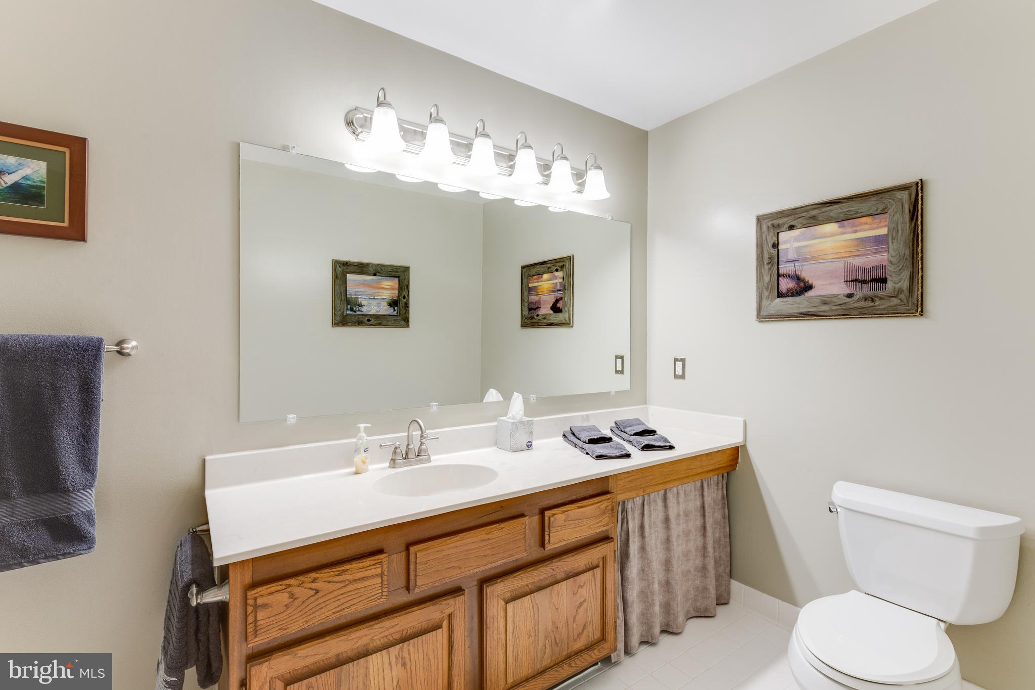 47660 Pennrun Way Sterling, VA 20165 - Photo 40 of 74